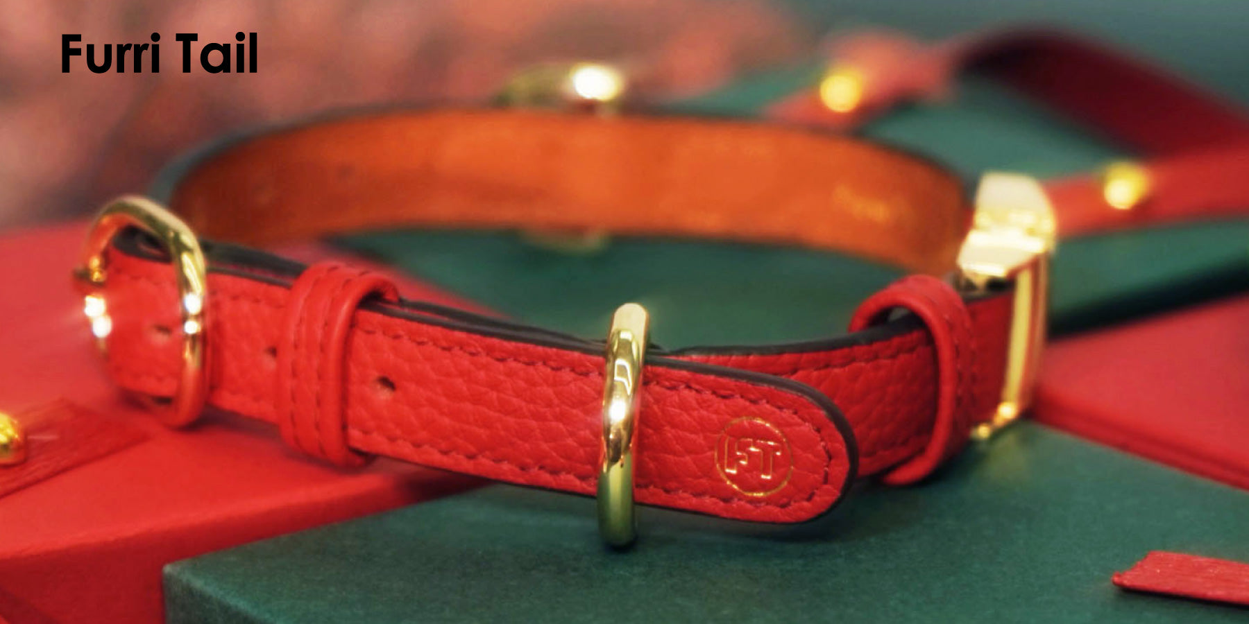 Paw-sitively Perfect Christmas Gift Ideas for Your Furri Friends