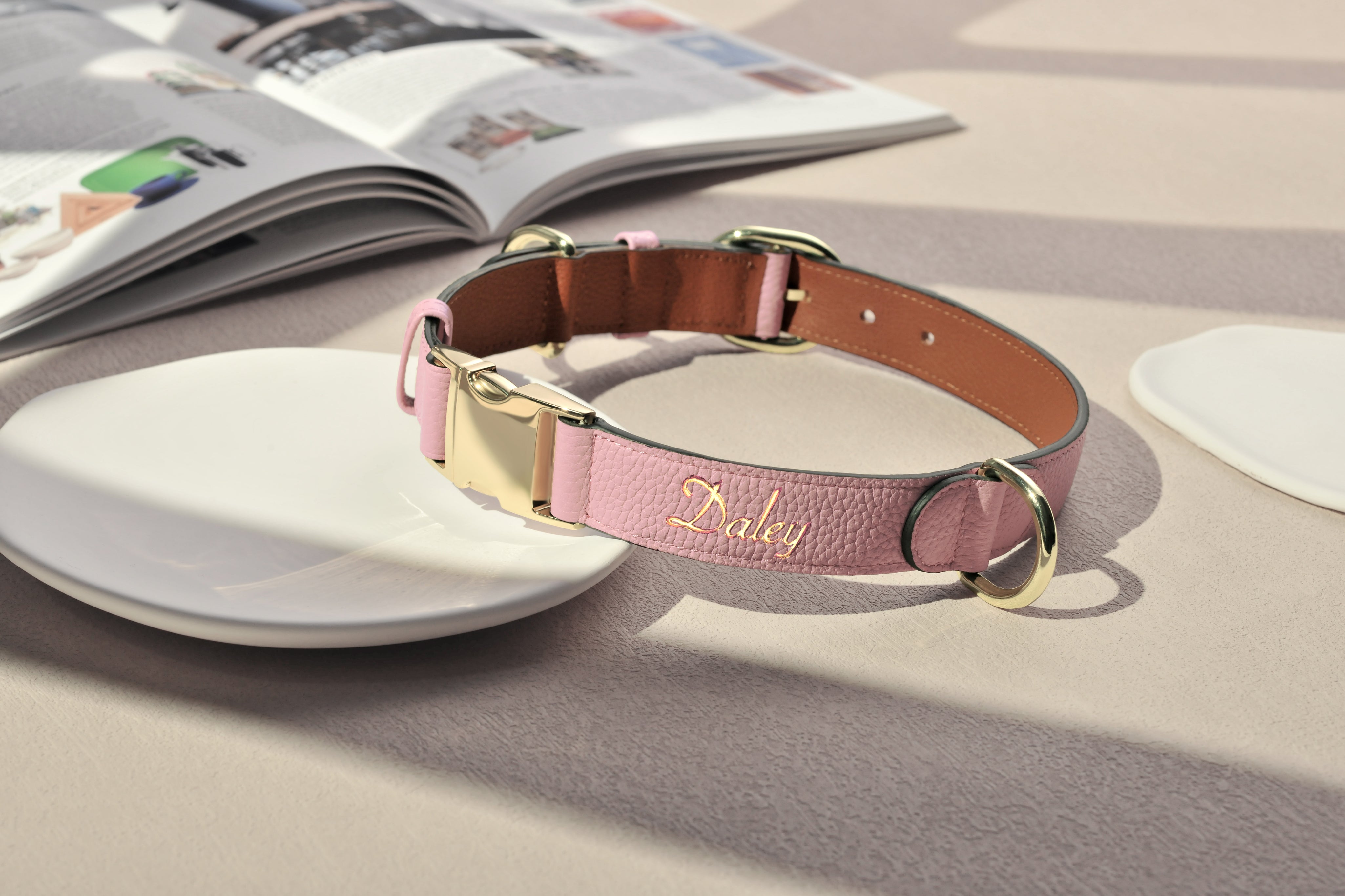Engraved Collars