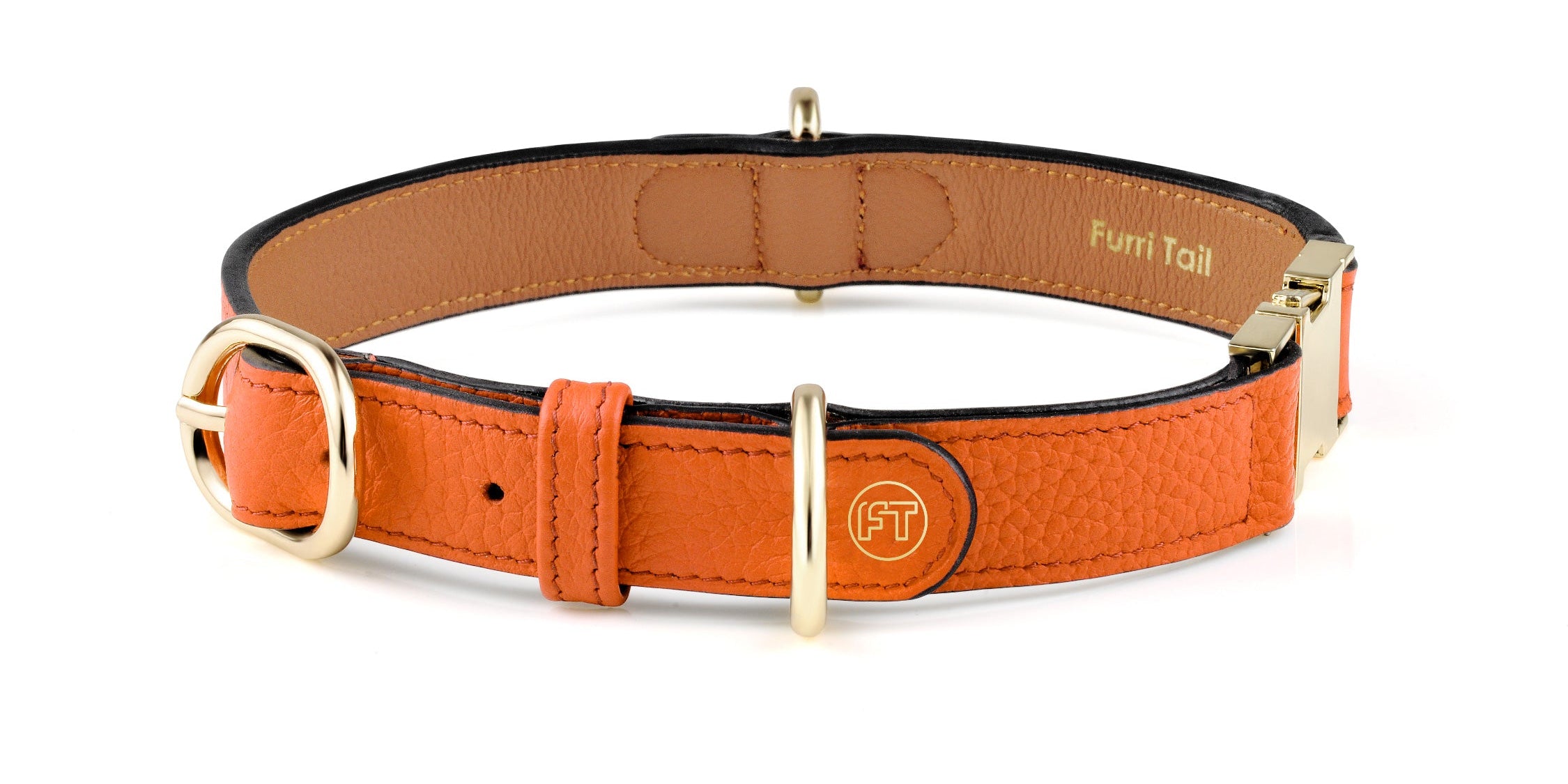 Audrey Collection Spotlight: Why This Collar is a Must-Have