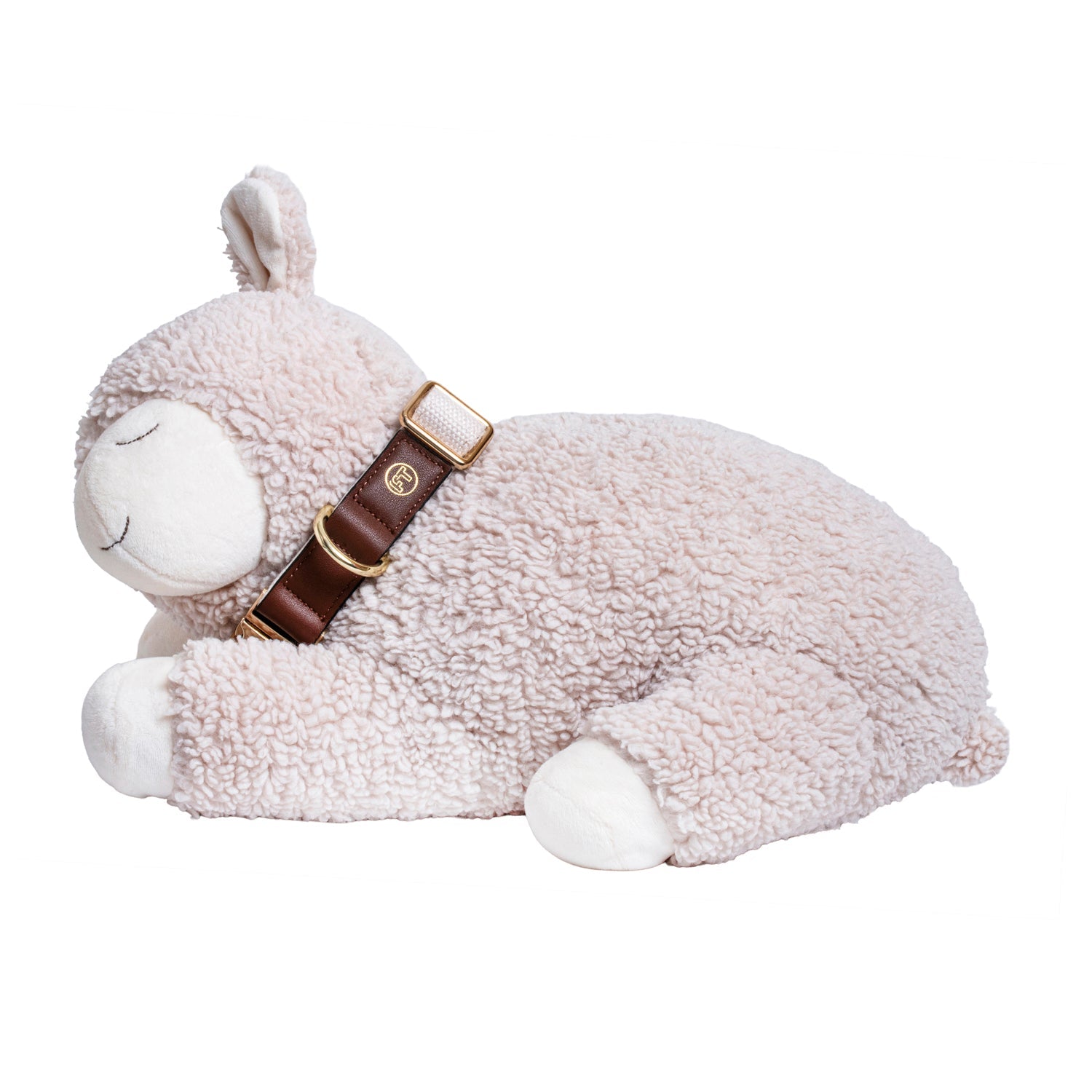 Chillax Collection: Cozy Comfort for Everyday Pet Bliss