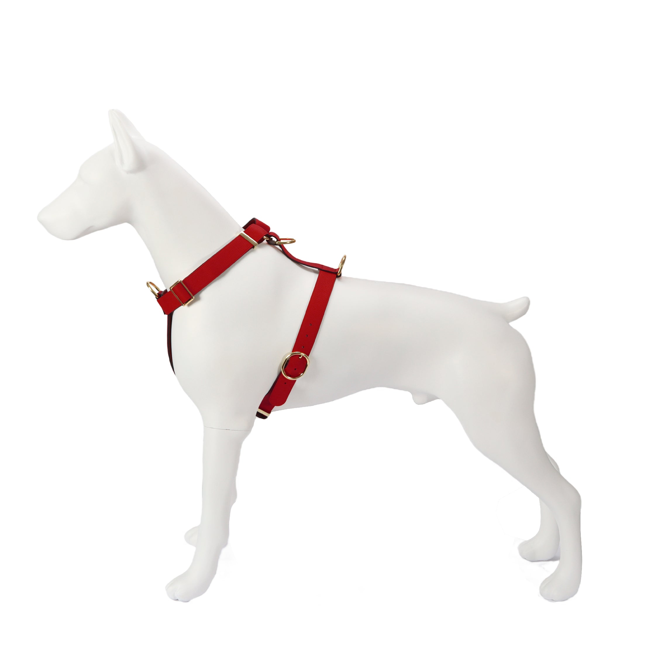 Elegant-dog-harness