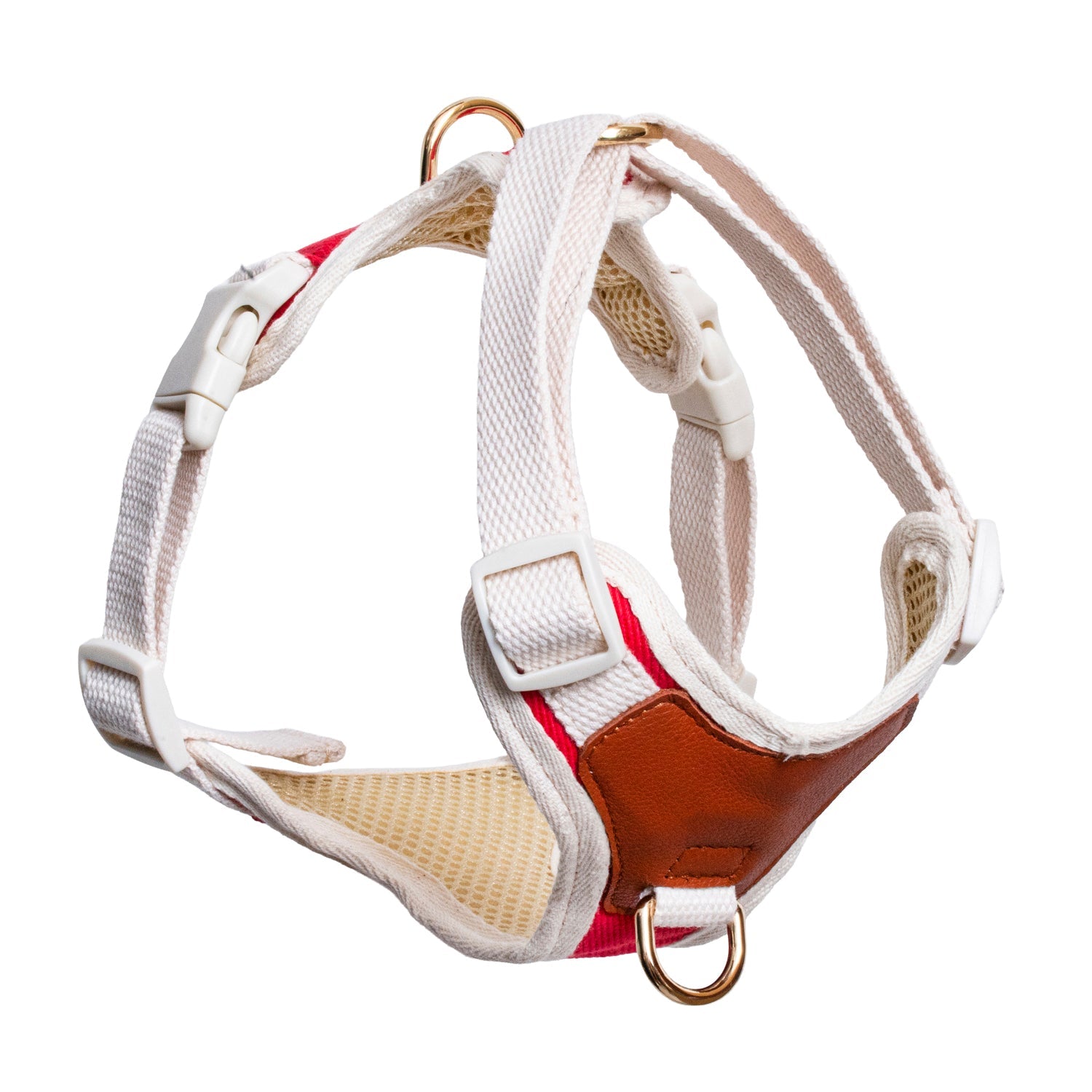 Furri Explorer Collection: Sporty Gear for Bold Pet Adventures