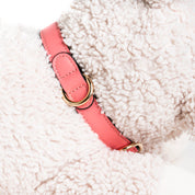 Handcrafted Engraved Leather Dog Collar - Flamingo Pink