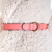 Handcrafted Engraved Leather Dog Collar - Flamingo Pink