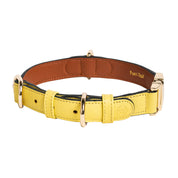 Handcrafted Engraved Leather Dog Collar - Vivid Yellow