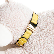 Handcrafted Engraved Leather Dog Collar - Vivid Yellow