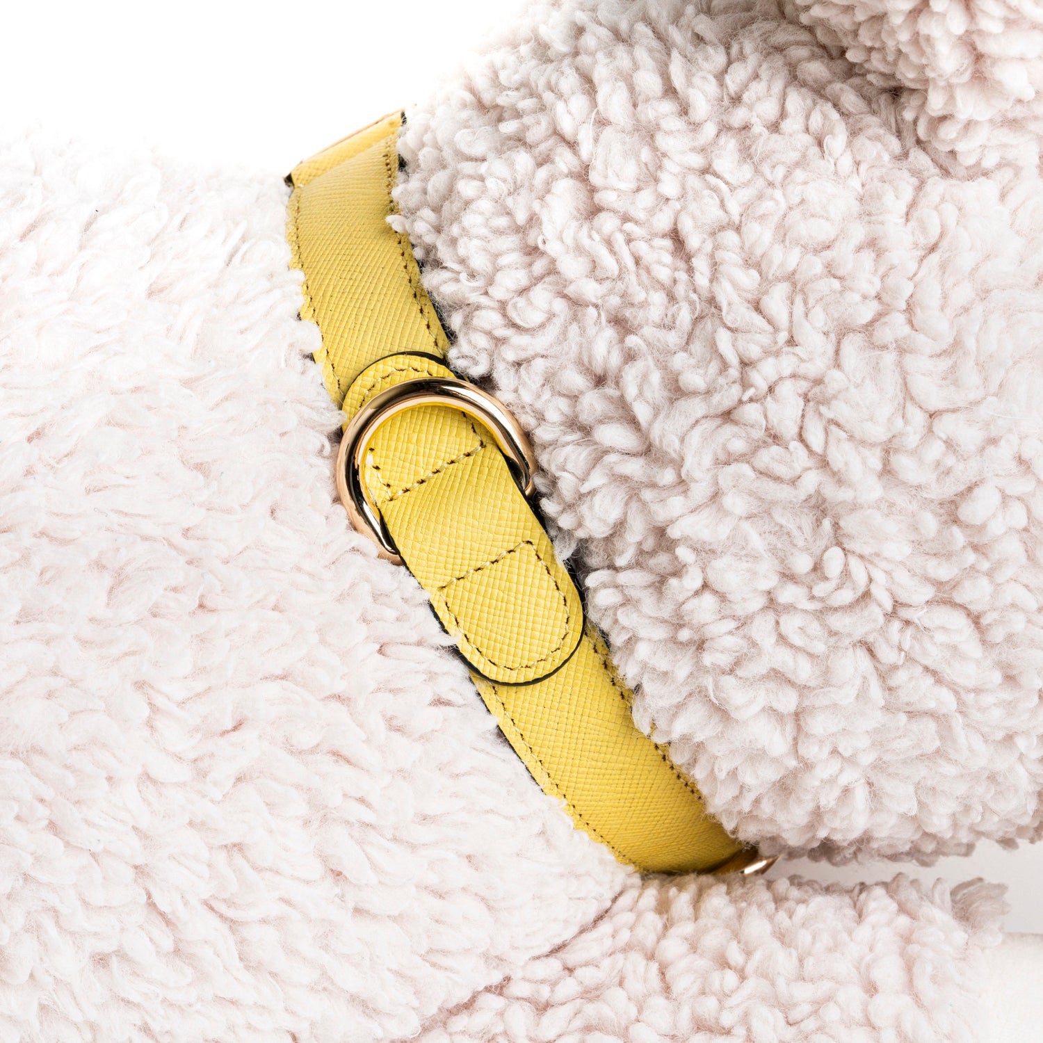 Handcrafted Engraved Leather Dog Collar - Vivid Yellow