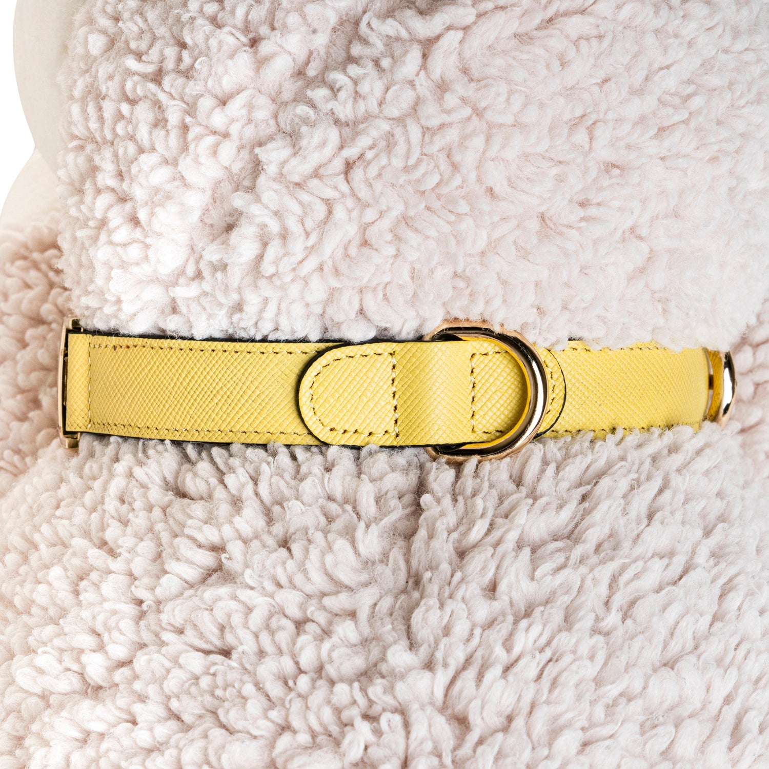 Handcrafted Engraved Leather Dog Collar - Vivid Yellow