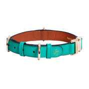 Handcrafted Engraved Leather Dog Collar - Energetic Green
