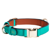 Handcrafted Engraved Leather Dog Collar - Energetic Green