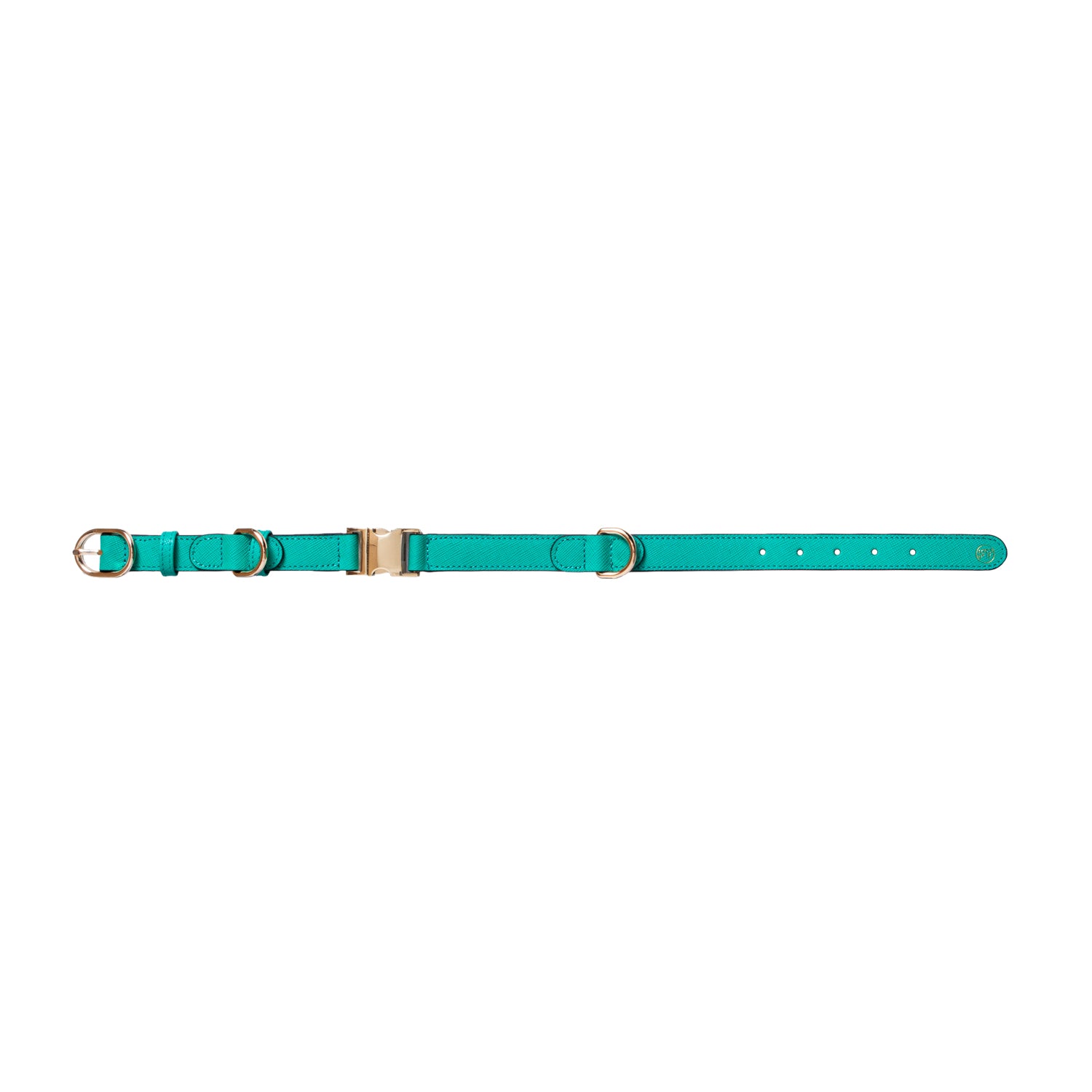 Handcrafted Engraved Leather Dog Collar - Energetic Green
