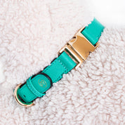 Handcrafted Engraved Leather Dog Collar - Energetic Green