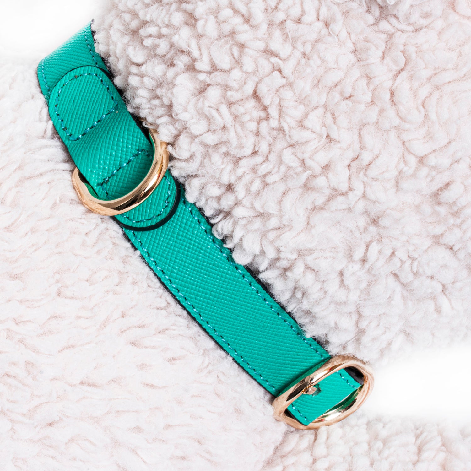 Handcrafted Engraved Leather Dog Collar - Energetic Green