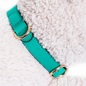 Handcrafted Engraved Leather Dog Collar - Energetic Green