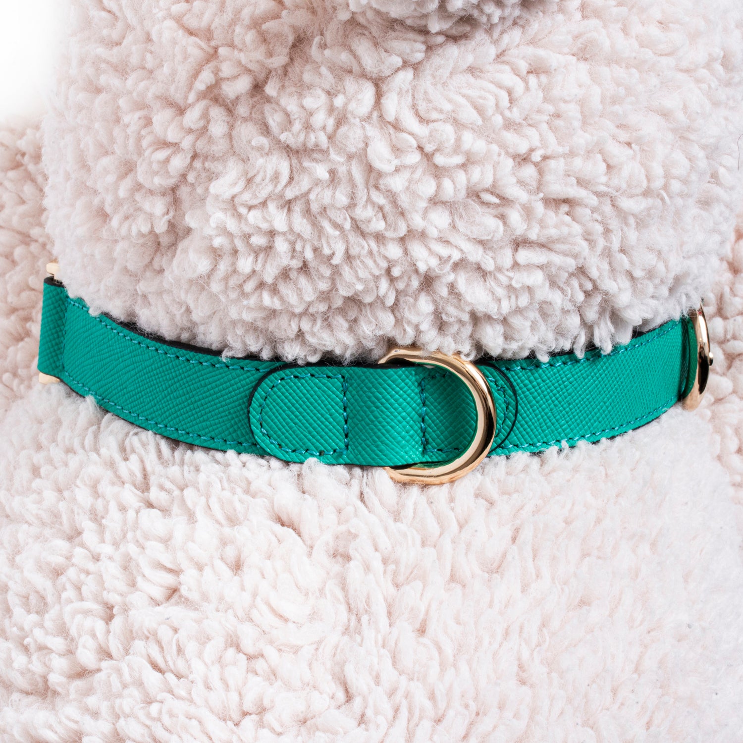 Handcrafted Engraved Leather Dog Collar - Energetic Green