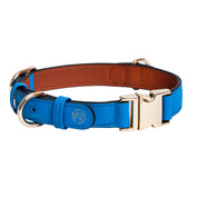 Handcrafted Engraved Leather Dog Collar - Bright Blue