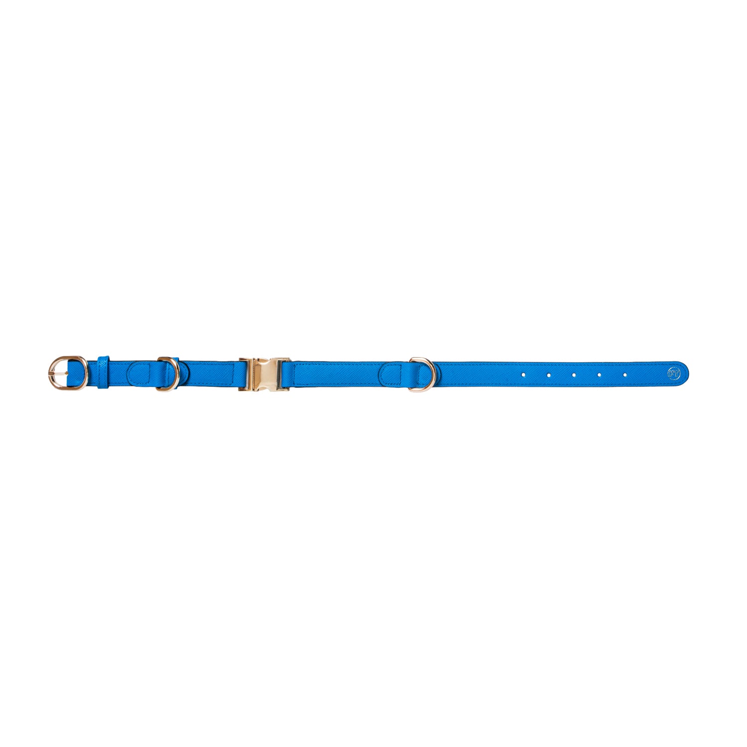 Handcrafted Engraved Leather Dog Collar - Bright Blue
