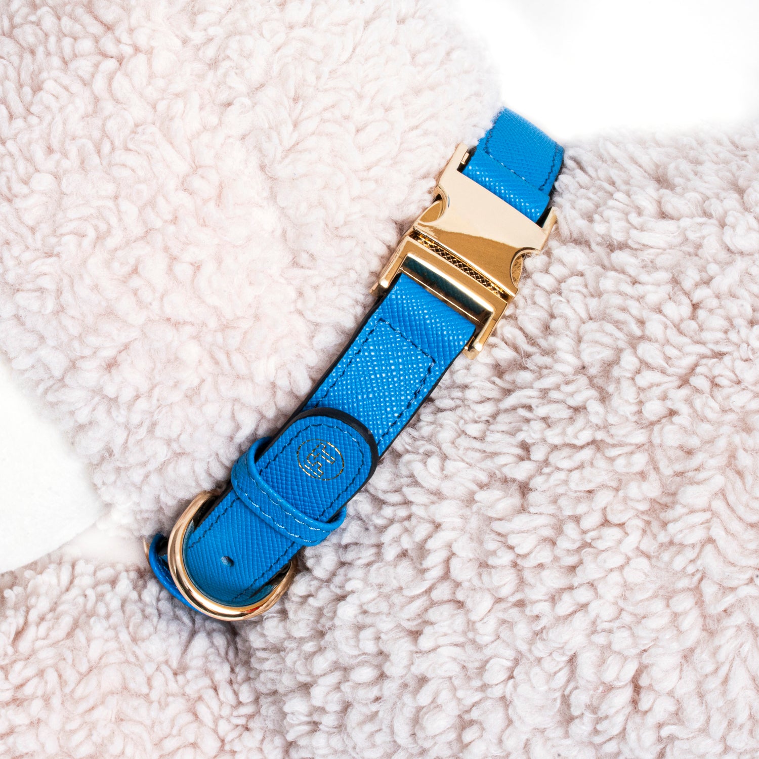Handcrafted Engraved Leather Dog Collar - Bright Blue
