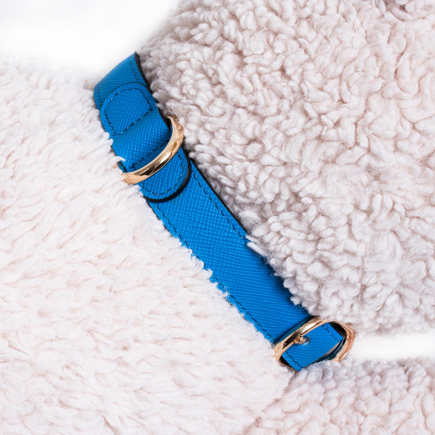 Handcrafted Engraved Leather Dog Collar - Bright Blue