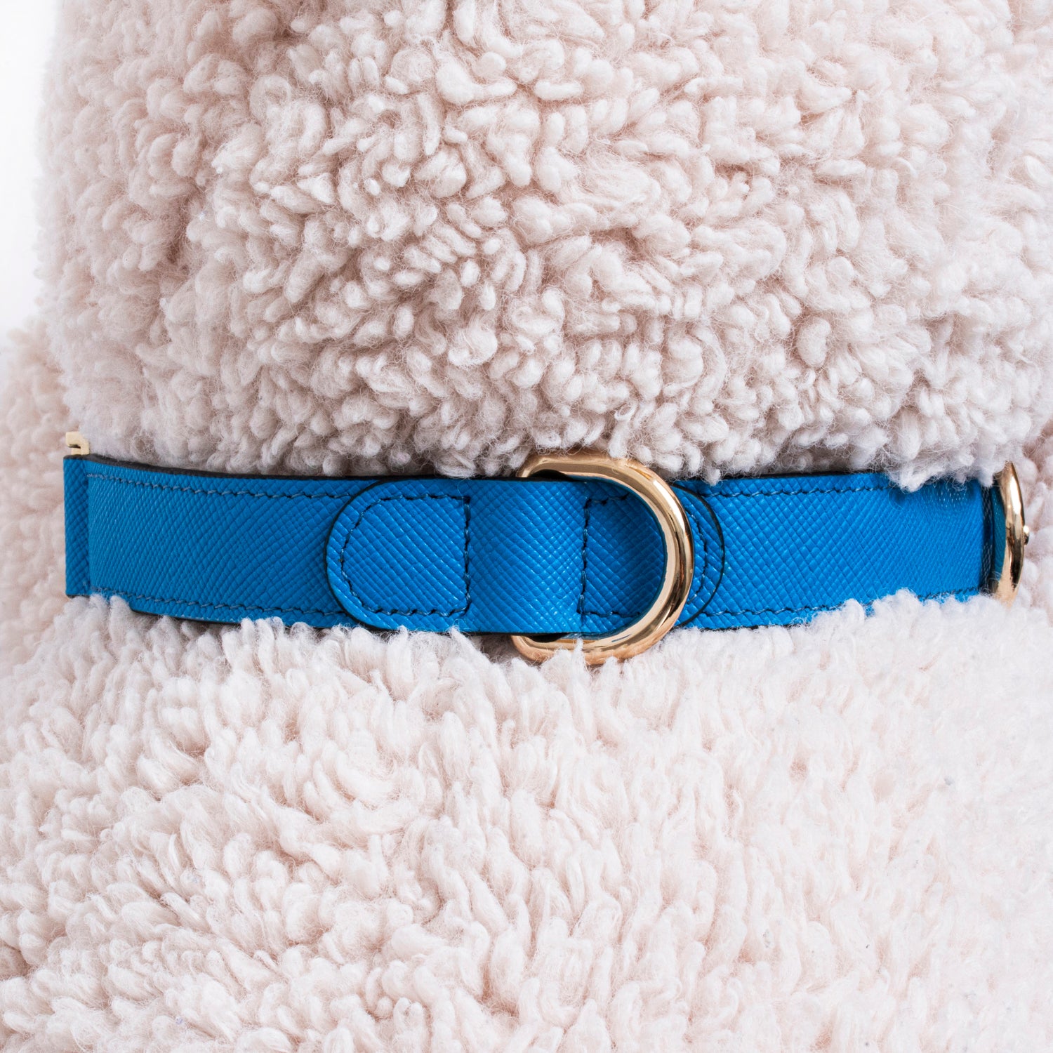 Handcrafted Engraved Leather Dog Collar - Bright Blue