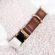 Handcrafted Leather Canvas Dog Collar - Beige
