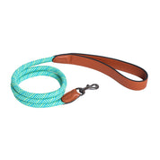 Furri Explorer Climbing Rope Leash with Leather Handle: Rugged Standard Leash for Pets - Energetic Green