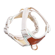 Furri Explorer Canvas Harness: Rugged Adventure for Your Pet - Mint Green