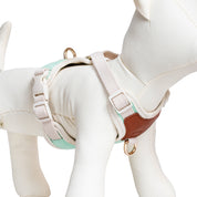 Furri Explorer Canvas Harness: Rugged Adventure for Your Pet - Mint Green