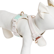 Furri Explorer Canvas Harness: Rugged Adventure for Your Pet - Mint Green