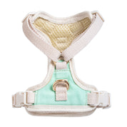 Furri Explorer Canvas Harness: Rugged Adventure for Your Pet - Mint Green