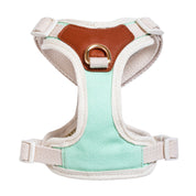 Furri Explorer Canvas Harness: Rugged Adventure for Your Pet - Mint Green