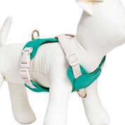 Furri Tail Handcrafted Leather Canvas Harness: Stylish Comfort for Active Pets - Energetic Green