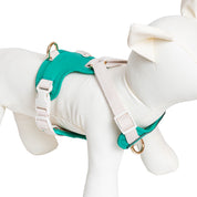 Furri Tail Handcrafted Leather Canvas Harness: Stylish Comfort for Active Pets - Energetic Green