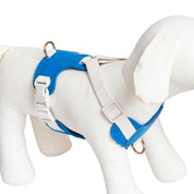 Furri Tail Handcrafted Leather Canvas Harness: Stylish Comfort for Active Pets - Bright Blue