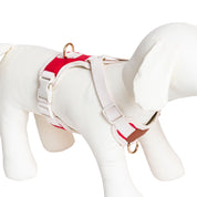Furri Explorer Canvas Harness: Rugged Adventure for Your Pet - Red