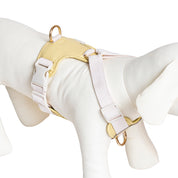 Furri Tail Handcrafted Leather Canvas Harness: Stylish Comfort for Active Pets - Vivid Yellow