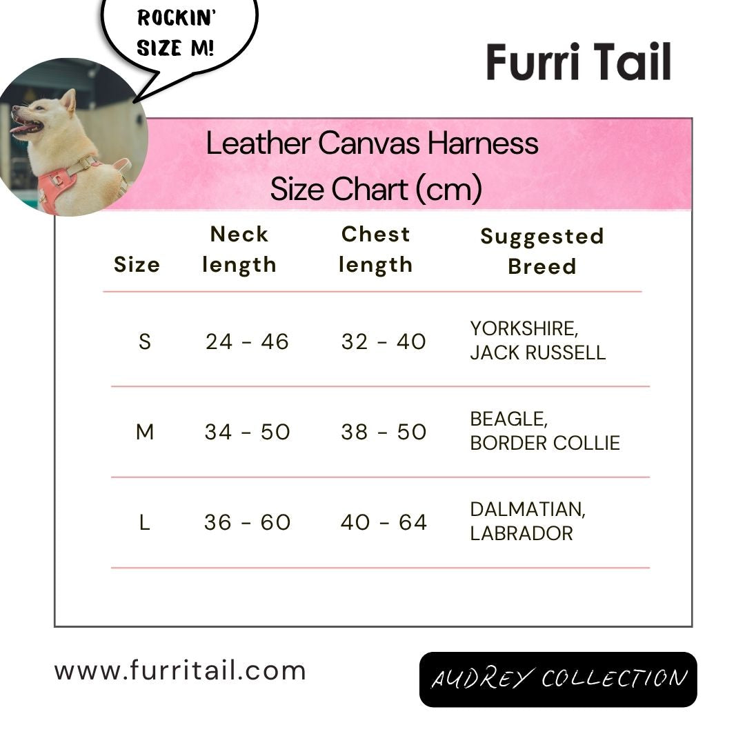 Furri Tail Handcrafted Leather Canvas Harness: Stylish Comfort for Active Pets - Vivid Yellow