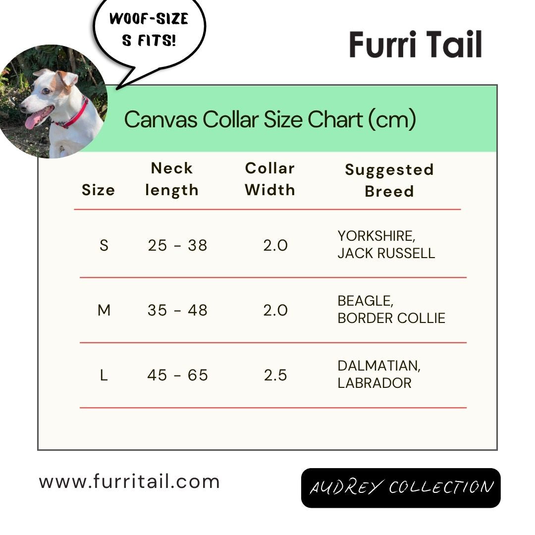 Furri Explorer - Sporty Canvas Collar - Scarlet Red