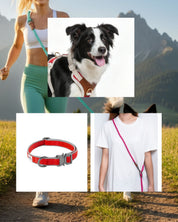 11.11 Mega Sale Furri Explorer Combo - Sporty Canvas Collar, Harness and Leash -Scarlet Red