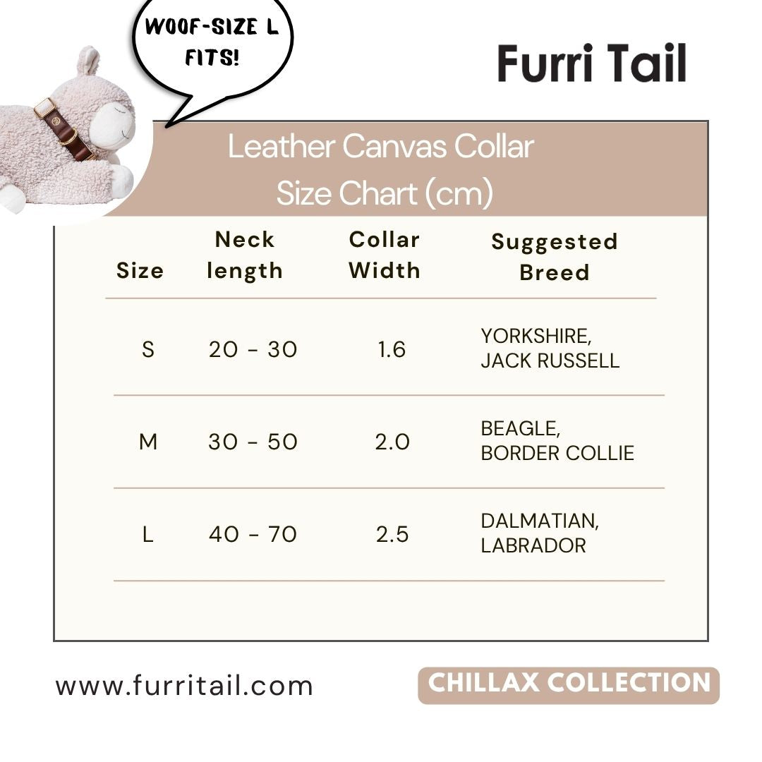 11.11 Mega Sale: Handcrafted Leather Canvas Dog Collar, Harness and Leash - Beige