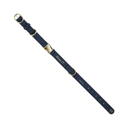 Collar   Leash (Extra 5% off) / S