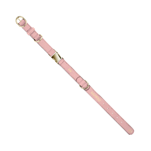 Collar   Leash (Extra 5% off) / M