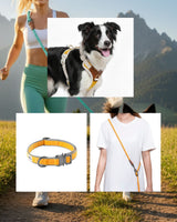 Furri Explorer Combo - Sporty Canvas Collar, Harness and Leash - Vivid Yellow