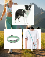 Furri Explorer Combo - Sporty Canvas Collar, Harness and Hands-free Leash -Mint Green