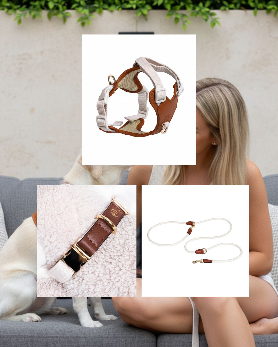 11.11 Mega Sale: Handcrafted Leather Canvas Dog Collar, Harness and Leash - Beige