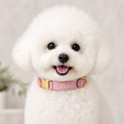 Exquisite Leather Dog Leash - Pink