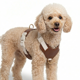 Furri Tail Handcrafted Leather Canvas Harness - Chillax Collection