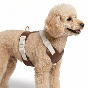 Furri Tail Handcrafted Leather Canvas Harness - Chillax Collection