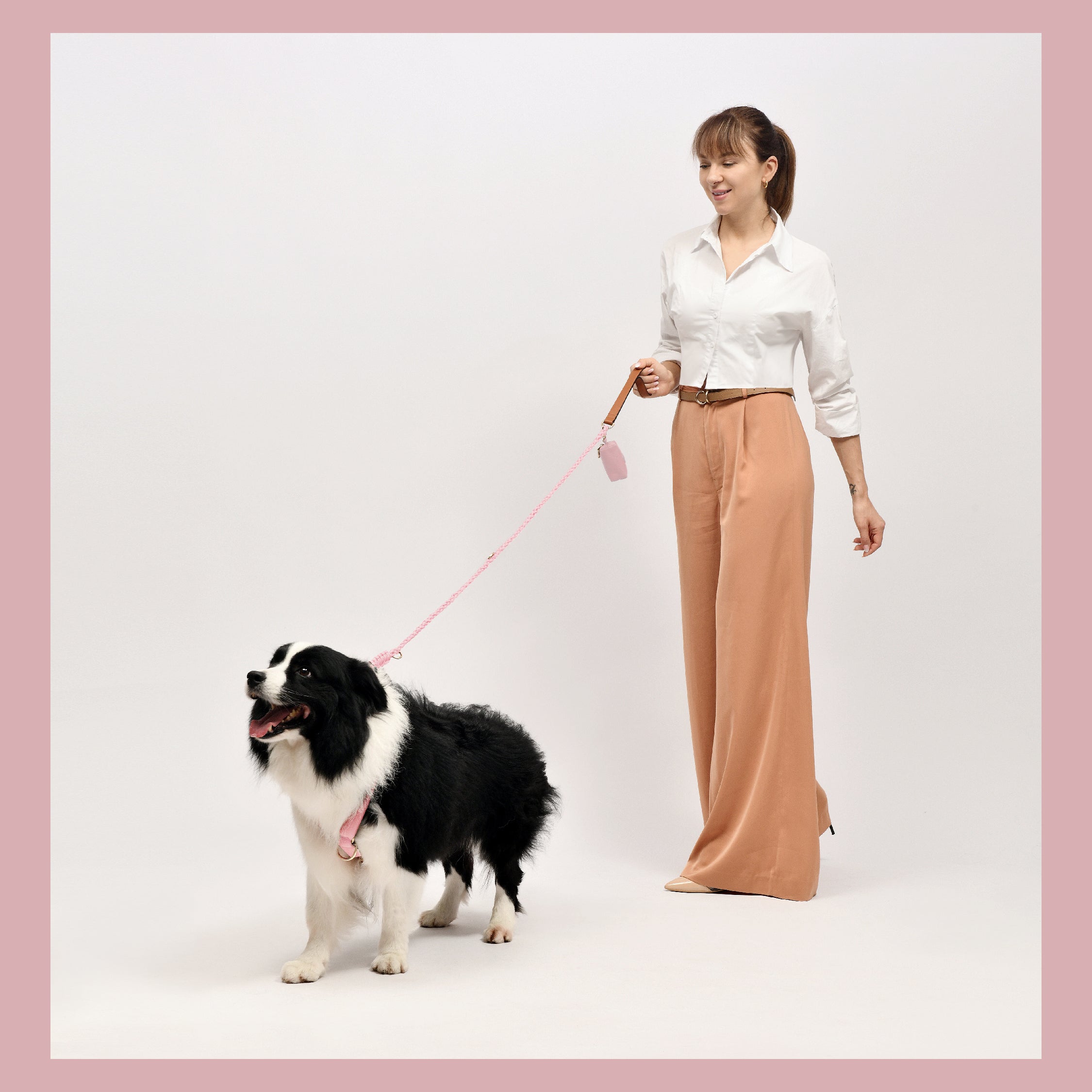  Premium Leather Pink Dog Accessories Combo