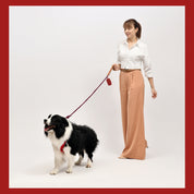  Premium Leather Red Dog Accessories Combo
